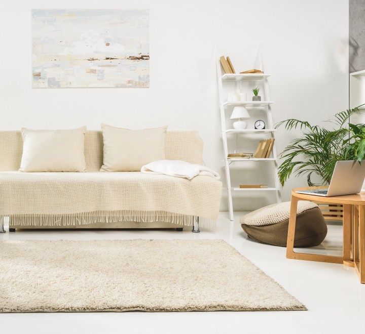 Living room rug | F & A Flooring