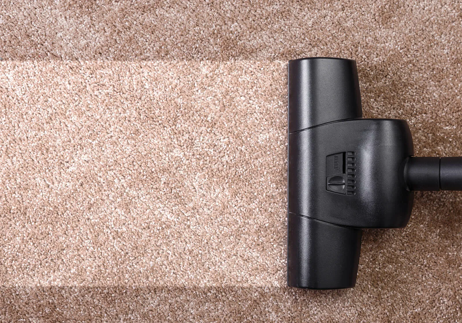 Carpet care | F & A Flooring